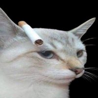 Lunar (@lunar0060) 's Twitter Profile Photo