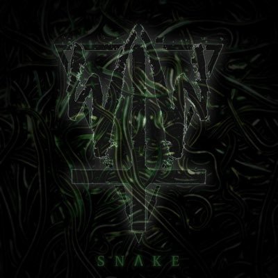 TheWarWithin_NY's profile picture. Long Island violence. 🐍 SNAKE 🐍 out now !