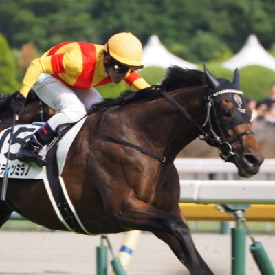 tsune0723_keiba's profile picture. 一口馬主 東サラ/ノルマンディー/シルク/DMM/インゼル プロ野球 スワローズ/ライオンズ 💰学んでました→今は🦷の大学生です。　最近フロンターレ応援してます笑