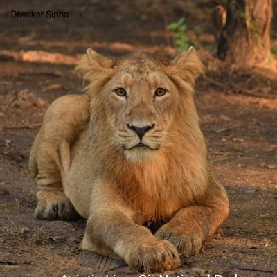 DiwaSinha10's profile picture. समर शेष है, नहीं पाप का भागी केवल व्याध | 
जो तटस्थ हैं, समय लिखेगा उनके भी अपराध
- रामधारी सिंह दिनकर | 

Politically aware | Like bird/wild life photography