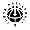 thesaridersbb's profile picture. THESA Riders boys basketball offers competitive basketball for middle & high school aged homeschool athletes in the DFW area