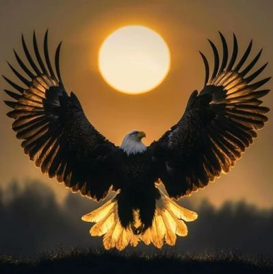 AHamza74454's profile picture. 