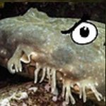 ObnoxiousWobbegong (@wobsthemighty) 's Twitter Profile