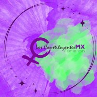 Las Constituyentes Feministas (@lasconstimx) 's Twitter Profile