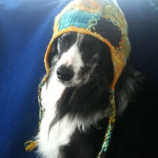 W82Matt's profile picture. Account of wildlife observed and seen out and about usually with my kids. Outdoor Instructor, runner, climber…..