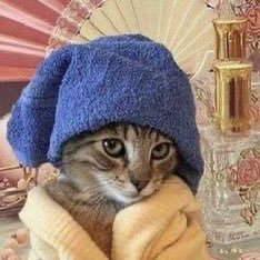 noturplantmom's profile picture. moving slowly, turning soft