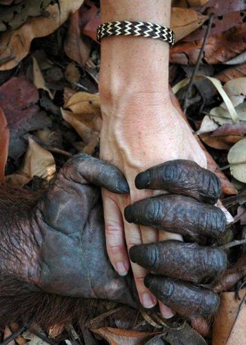 chulavas's profile picture. 