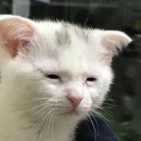 RenameCard1 (@renamecard1) 's Twitter Profile