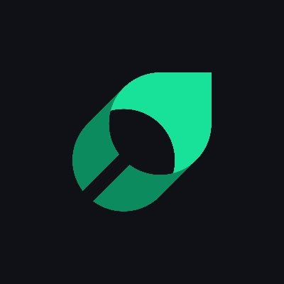 @mintlify