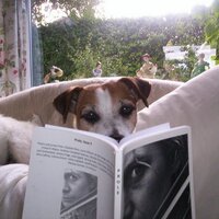 Prole (@prolebooks) 's Twitter Profile
