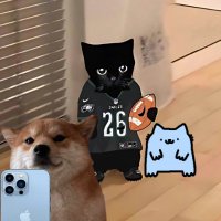 zaden (@0zaden) 's Twitter Profile