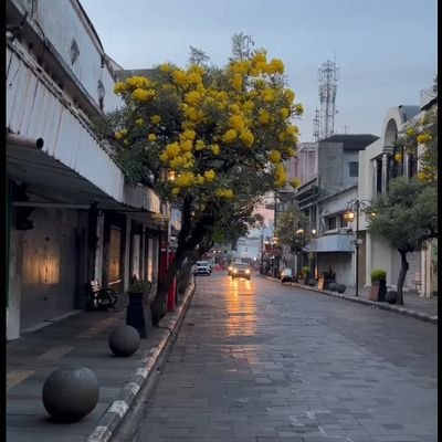 semburatrenjana's profile picture. unserious person