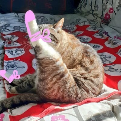 Ollie Williams Profile