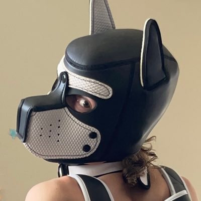 PupBANDO's profile picture. 🔞 +18 🔞🐾 🇺🇸🏳️‍🌈🐾Eager pup!! I hope you like my pics :3🐾