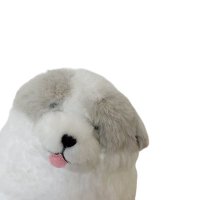 わんちゃん (@wanchan_biglove) 's Twitter Profile Photo わんちゃん (@wanchan_biglove) 's Twitter Profile Photo