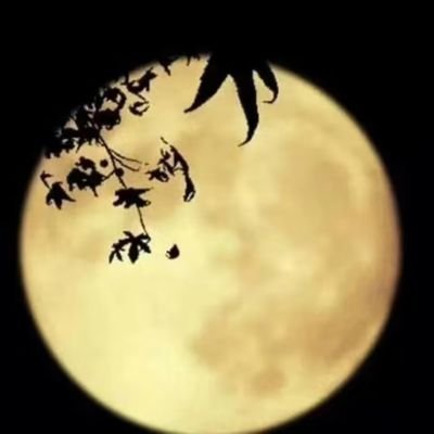 chen999473's profile picture. 