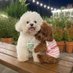 rainbow candy (@rainbow2candy) Twitter profile photo rainbow candy (@rainbow2candy) Twitter profile photo