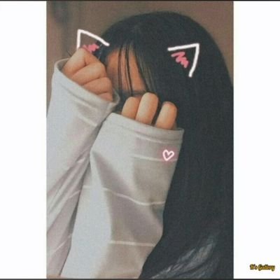 jp3657242490331's profile picture. 