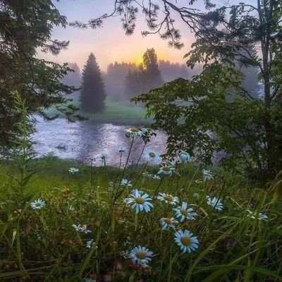 bebluevy_'s profile picture. (´・ω・`)? // (╥﹏╥) // (ɵ̥̥ _ ɵ̥̥) / ･ᴗ･ / ᯓᡣ𐭩