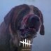 Cujo By Daylight 🇵🇸🍉 (@cujodbd) Twitter profile photo Cujo By Daylight 🇵🇸🍉 (@cujodbd) Twitter profile photo