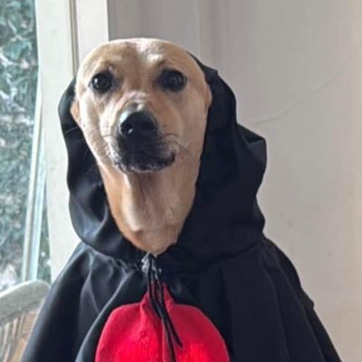 longlivethekop's profile picture. Liverpool FC 🔴🔴🔴