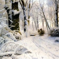 ≽^•༚• ྀི≼ (@woodinsnow) 's Twitter Profile Photo