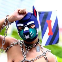 白襪肌肉犬洛斯 (@cerberus_4316) 's Twitter Profile Photo