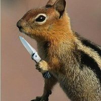 दर्जी की ᏨᏲᏲṎᖇḭ (@krishtank356870) 's Twitter Profile