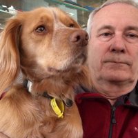 Brian Millin (@brian_millin) 's Twitter Profile Photo Brian Millin (@brian_millin) 's Twitter Profile Photo