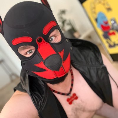 Dominant and Breedable. Flag red, yellow, and a leash down the middle. Hole open for loads, piss, and fists! Often locked.