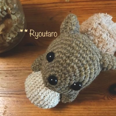 リョウタロー🐿さんのプロフィール画像