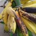 nyagobey peace ✌️ Farm GULU- KITGUM Highway..🍌🌲 (@nyagobeyfarm1) Twitter profile photo nyagobey peace ✌️ Farm GULU- KITGUM Highway..🍌🌲 (@nyagobeyfarm1) Twitter profile photo