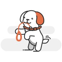 Patch the PitPat dog (@pitpatpet) 's Twitter Profile