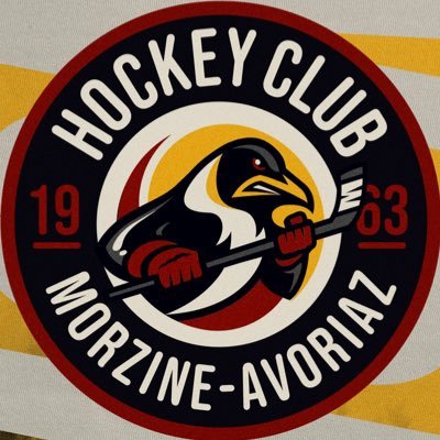 Compte officiel des Pingouins de Morzine-Avoriaz 🐧 🇫🇷Division 1 #gomorzine #fiersdetrepingouins