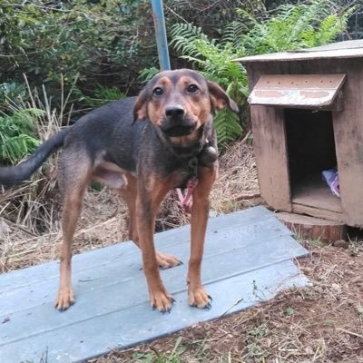 BN0dT1CRFS54607's profile picture. 