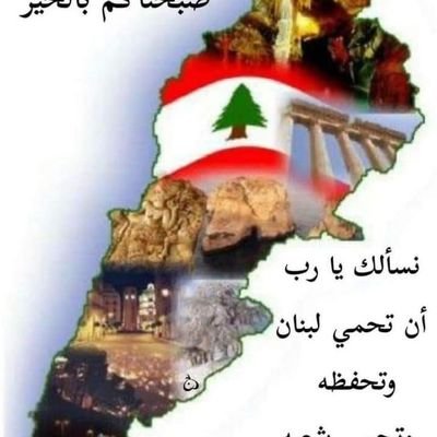 mazloum8's profile picture. CEO