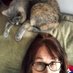 🎙️ TrishVoice 🎭 (@trishvoice) Twitter profile photo 🎙️ TrishVoice 🎭 (@trishvoice) Twitter profile photo