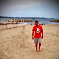 Bitcoiner of Renaissance (@bitcoiner319421) 's Twitter Profile