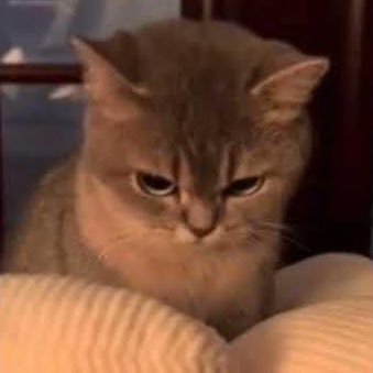 iiiisura's profile picture. 