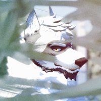 Brandon (@raccoonjock) 's Twitter Profile