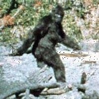 The Sasquatch 🏳️‍🌈🔞さんのプロフィール画像
