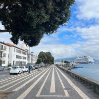 ⚓️Deckboy🛳️ (@marinedeckboy9) 's Twitter Profile Photo ⚓️Deckboy🛳️ (@marinedeckboy9) 's Twitter Profile Photo