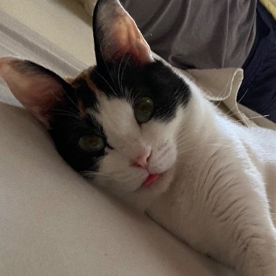 chanme__8739's profile picture. 