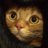 Danielfamily7's profile image
