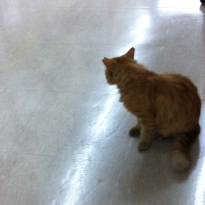 ストークです。バーチャロンOMGを愛知県のアーケードでだいぶプレイしていました。 タニタツインスティックのおかげで昨年復帰。アファしか乗れない