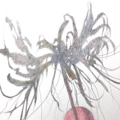 tubaki_rinta5's profile picture. 練習画中心。作品はインスタ、pixivに載せていくように考え中。for English account →@tubaki_rinta5_2ただいまお休み