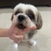 Khye KhyeJie (@khyejiekhy8356) Twitter profile photo Khye KhyeJie (@khyejiekhy8356) Twitter profile photo