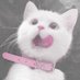 ねこめ (@nyamntl) Twitter profile photo ねこめ (@nyamntl) Twitter profile photo