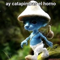 wikipiratas (@pimientomate) 's Twitter Profile Photo