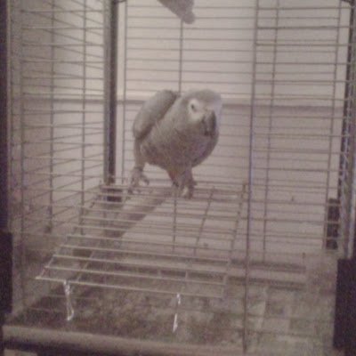 jennymurph68273's profile picture. 